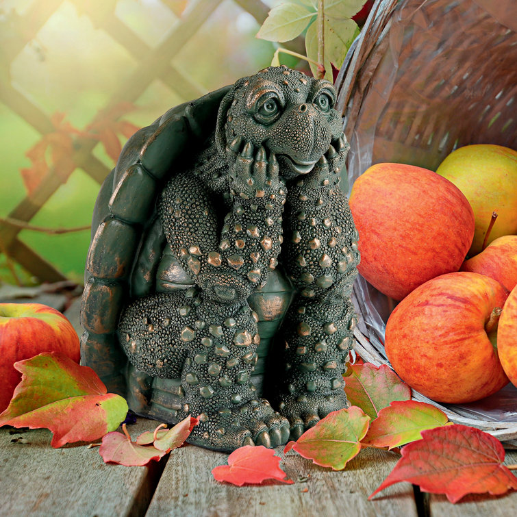 Design Toscano The Thinker Turtle Garden Statue & Reviews